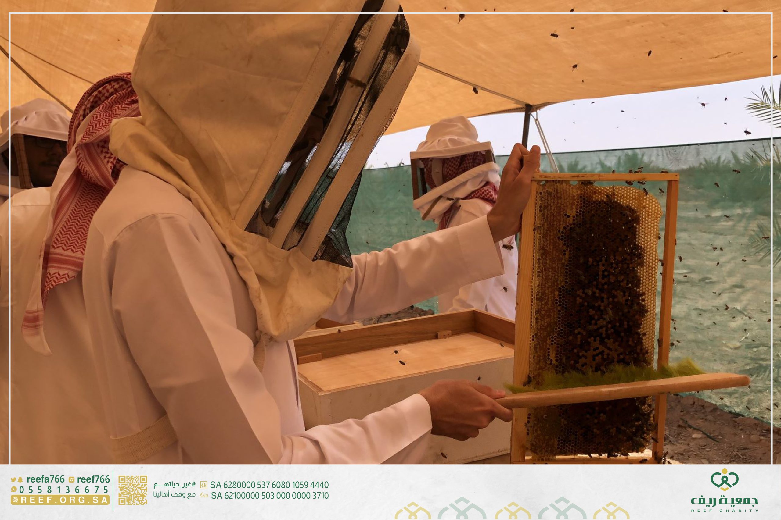 جمعية ريف تمكِّن 10 شباب في مشاريع تربية النحل وإنتاج العسل